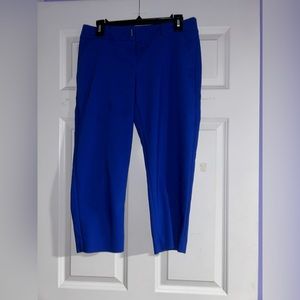 Blue Torie Capris